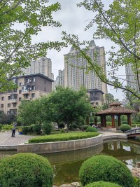 时光流逝，五一假期悄然而至，又是新的开始，祝平台的各位老师和朋友们，假期快乐，顺心顺意！！配图