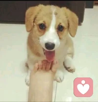 成年人的快樂來源于自己的選擇配圖