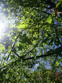 看似不合理，實則很公平。這里失去，那里一定會得到！配圖