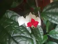 寒冷的冬天，寂靜的夜晚，用眼睛尋找那維數不多的星星！配圖