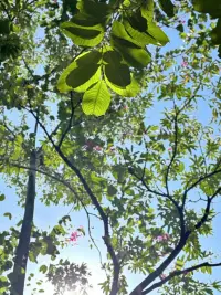 在平淡的歲月中，慢慢體會(huì)每一份寧?kù)o，每一縷陽(yáng)光，不管你正在經(jīng)歷什么，一切都會(huì)好起來，一切都是最好的安排。配圖