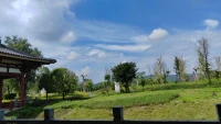 治愈自己的永遠(yuǎn)都是覺(jué)悟的那一瞬間，沒(méi)有被內(nèi)耗占據(jù)，沒(méi)有被焦慮拉扯。放下的一刻，就是重生的起點(diǎn)。加油，琳姐配圖