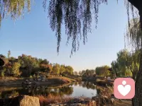 那些困擾你的心跳加快、頭暈、恐慌的感受是焦慮的軀體癥狀，是你的身體在告訴你：某些東西在困擾你，不要關注這些軀體癥狀而是要去問自己，是什么人或什么事情讓你心煩意亂配圖