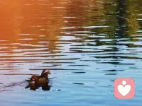 事實上關于兩性關系（夫妻或情侶）彼此保持新鮮感的事情上，并不是說讓你和新的人做舊的事情，而是和舊的人一起做新的事情。配圖