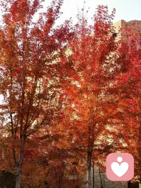 “自己能給自己安全感的人，不會把事物和別人想象得太好，也就不會讓自己失望，這樣發展下去自己的安全感就更強。

人越是擔心自己，越向外尋找，也就越容易失望?！迸鋱D