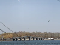 一輩子就這么長(zhǎng)，不管是工作還是愛情，婚姻還是生活，都該對(duì)自己好一點(diǎn)，讓自己活得貴一些，才不負(fù)來人世一場(chǎng)。配圖