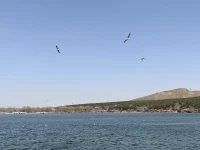一輩子就這么長(zhǎng)，不管是工作還是愛情，婚姻還是生活，都該對(duì)自己好一點(diǎn)，讓自己活得貴一些，才不負(fù)來人世一場(chǎng)。配圖