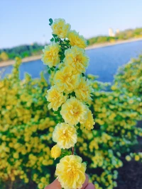 泰戈爾說:你今天受的苦，吃的虧，擔(dān)的責(zé)，扛的罪，忍的痛，到最后都會變成光，照亮你的路。你要熬，熬到苦盡甘來，你要等，等到春暖花開。生活仍在繼續(xù)，凡是打不倒你的，終將讓你強大。配圖