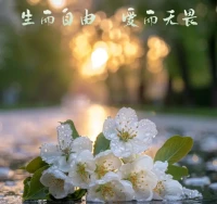 若我鬓发斑白，容颜老去，你是否仍愿，执我之手，予我那份跨越时光的温柔与不弃。

生命之旅，我们终将邂逅两位过客，一位如璀璨烟火，照亮青春夜空；另一位则似温暖日光，温柔地拥抱平凡岁月。

心动瞬间，奈何情深缘浅，世事变迁，物换星移，人亦非昨，往昔不可追，唯有回忆悠悠。

时光匆匆，前路漫漫，未来的每一山一水，每一朝一夕，我愿独自静享，步步生莲。

假若旅途迷失，跌入命运深渊，亦需铭记，有一泓清泉，名曰“重生”，世间万物皆可重生，四海为家，处处心安。如此，莫寻我踪，我亦不扰君梦，各自安好，于剩余的岁月里，静观云卷云舒，岁月悠悠，现世安稳。

待繁华落尽，觅一幽静山谷，筑一竹篱茅舍，辟一条青石板径，与你共度晨昏，淡泊名利，岁月静好，安之若泰。配图