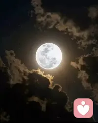 海上月是天上月，愿各位，眼前人都是心上人
追月人為心而動(dòng)，愿各位，身邊人即是意中人配圖