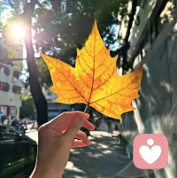 人靜，物簡，心安，就是最美的生活狀態。配圖