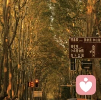 玫瑰不用長高，愛她的人自會為她彎腰。配圖