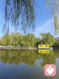 陽光免費，曠野萬歲！配圖