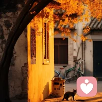 愿努力生活的人 ，各有各的風雨燦爛。配圖