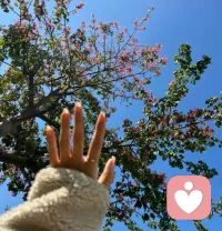 感性的人過不了柴米油鹽，理性的人談不了風花雪月。配圖