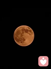 今晚有XXXL版月亮，对着月亮🌙许愿，祝大家心想事成。配图