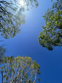 如果你覺得抑郁了，請走出去，找一片草地，找一位傾聽者，躺在草地上，看著天空，訴說你堵在心里的那些事，當你訴說完后，相信你已經走出了第一步????配圖
