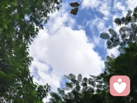 抽空看看天空吧，她一直等着你～
缓解精神内耗、降低焦虑压力，平衡安全感与自由感，帮助人从现实焦虑中短暂抽离，激活平和、松弛、充满生命力的积极情绪，是具备天然情绪疗愈属性的视觉画面。配图