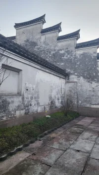 让花成花，让树成树