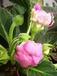 人的改變是可能的，當他感覺到了被愛。
人的改變是可能的，當他感覺到了被理解。
人的改變是可能的，當他的感受、想法、需求被看到。配圖
