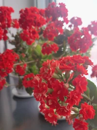 清?的晰?邊界感，是?系關?和諧的基礎！ 邊?感界?是人?所對?有權?認的?知。 什?是么?你的，什么?我是?的？ 你在?的你?范圍內做事， 我?在也?我的范圍?做內?事。配圖