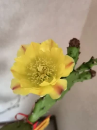生活沒有如果，
只有結果，
一切盡力就好，
努力做好每一件事。
這煙火人間，
事事有值得，
事事也遺憾，
時間終會教會我們，
萬事藏于心。
有風聽風，
下雨看雨，
勇敢去做一個身心豁達的人，
認真且努力地生活，
過去的一笑而過，
將來的安然以待….配圖