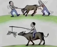 認知：比勤奮重要
賽道：比努力重要
方向：比方法重要
寧可在正確的賽道上散步！
都不要在錯誤的方向奔跑！??配圖