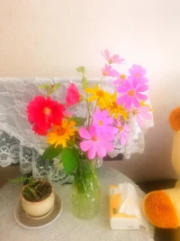 喜歡的事，一定要即刻開始；受益的事，一定要長期堅持。你值得擁有更好的一切！
早安吉祥！配圖