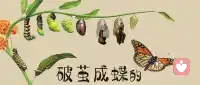 破繭成蝶的啟示
　　有個孩子看到一只繭上裂開了個小口，他就一直觀察，蝴蝶在艱難地將身體從那小口中一點一點地掙扎出來，幾個小時過去了……
　　它似乎已經竭盡全力了，不能再前進一步了。孩子看得心痛，決定幫助一下，他拿來一把剪刀，小心翼翼地將繭破開，蝴蝶很容易地掙脫出來，但是身體很萎縮，翅膀緊緊地貼著身。他接著觀察，期待著它的翅膀打開，成為一只健康美麗的蝴蝶，然而，這一刻始終沒有出現。
　　實際上，這只蝴蝶在余下的時間只能帶著萎縮的身子和癟塌的翅膀爬行，永遠也不能飛起來了。這個好心的孩子并不知道，蝴蝶從繭上的小口掙扎而出，是生長的規律，要通過擠壓過程將體液送到翅膀的絡脈，這樣才能在脫繭后展翅飛翔。
　　人生何嘗不是如此，有時候在我們的生命中就需要奮斗乃至掙扎。如果生命中沒有障礙，我們就會很脆弱，我們就不會強健，我們將永遠不能飛翔。磨煉、挫折、掙扎，這些都是成長的過程。急于成功的人，別忘了哲人的名言：人生必須背負重擔，一步一步地走，穩穩地走，總有一天你會發現自己是走得最遠的人。
破繭方能重生*^_^*配圖