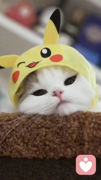 生活給你的很多難堪，不是在跟你過不去，而是要你不斷提高生存的技能。記住：心中有暖陽，又何懼人生荒涼。配圖