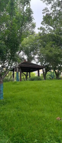 一個讓自己完全不再內耗、變得特別快樂的方法。上天給你什么，你就享受什么；上天拿走什么，你就放棄什么；上天把你放到任何的境遇，你都充滿感恩和相信TA的智慧。配圖