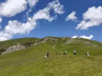人窮莫入眾。言輕莫勸人配圖