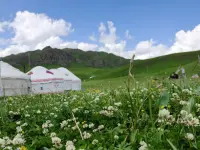 我们无法左右天气的冷暖，无法改变事情的结局，但心情是我们自己的，我们有掌控它的主动权，我们是自己心情的主人