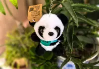 所以你所看見的，都是想看見的；你所聽見的，都是你想聽見的。凡是你不想看見、不想聽見的，你都會選擇性忽視甚至屏蔽。你是樂觀積極的思維，就看見了美好，感受了幸福；你是悲觀消極的思維，就看見了丑惡，感受了不幸。配圖