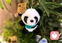 當(dāng)擁有的時(shí)候還覺(jué)得不滿意，
那就問(wèn)問(wèn)自己失去了會(huì)怎樣。配圖