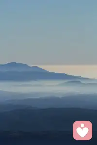 如果你愿意，在谷底也可以開花，在海底也可以望月~配圖