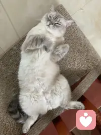 復(fù)旦網(wǎng)紅教授梁永安說(shuō)：
“今天的工作之苦，早已不是身體的苦，而是我們?cè)诰裆系纳n茫。”配圖