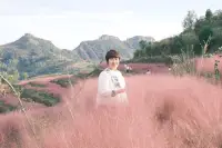 很多父母會問：孩子做錯事情，不表揚不批評，那還能怎么做？如果你能很好地運用鼓勵，你會發現，相比表揚和批評，讓孩子達到你的期待，不如鼓勵孩子，讓孩子成為那個有能力把事情做對、做好的孩子！配圖