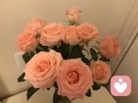 每一個失眠的夜晚都格外的漫長配圖