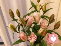 喧鬧的節日，讓快樂的人更快樂，孤獨的人更孤獨……配圖