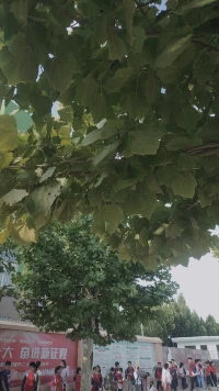 时间揭穿了多少谎言改变了多少距离看清了多少人心
所以记住
莫赌天意，莫赌人心
天意输不起，人心琢磨不透
有时候人性真的很冷用你的时候有多热情不需要你的时候就有多冷漠！