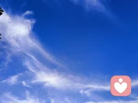 人性本惡卻為善，能不累嗎？一切源于心理反饋于大腦，每一個(gè)表情與行為都有相應(yīng)的答案，讓愛與人性隨心自由表達(dá)，何必背叛本心。努力學(xué)習(xí)懂你的心，給你快樂，做一個(gè)好的傾聽者。配圖