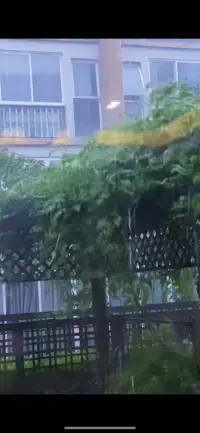 听雨是一种宣泄，看雨是一种解脱压，世界的美好，不是取决于世界，而是取决于你对她的看法，优美的旋律沁入心灵，带走烦恼，留下的只有宁静和温馨。
