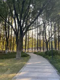 追求幸福婚姻的方法和原则
爱是这个世界上最纯净、最无私、最真诚的东西，它代表着给予，而不是索取。在两性关系里，需求其实很简单，男人需要很多的尊重，女人需要很多的爱，两个人之间需要很多的理解和包容。

如何做到尊重？
真正做到尊重他人，就要善于站在他人的角度；感同身受，推己及人；尊重他人，要善于欣赏、接纳他人；不做有损他人人格的事情。

如何给予对方更多的爱？
一、肯定的语言：不要把爱藏在心里，而是毫不掩饰地，随时随地的表达感恩、崇拜、欣赏、
喜欢、认可、赞美、嘉许、爱……是发自内心的，不是表面的敷衍，表达的时候需要肢体语言，比如目光看着对方。
二、倾听与沟通甜蜜的情感关系中，最重要的就是“沟通”。优质的沟通是由“耐心的倾听”
与“深入的表达”构成的。当你愿意带着耐心、专注、共情的态度去倾听对方时，对方就会感受到爱。
三、身体的接触拉手、亲吻、拥抱、抚摸，或是看着对方的眼睛，这些胜过千言万语。我们应该把亲密接触养成一种日常习惯，心理学家所说的身体接触时情感体验最为深刻。
四、精心的时刻，在生日、纪念日或某个特别的时刻，用心为他创造一些礼物，惊喜和感动，创造仪式感。
五、服务的行动，谁不享受被宠爱的感觉呢？为你的另一半做一些宠爱的服务，你们之间的感情会越来越深。比如做一道他最喜欢吃的菜；偶尔帮他按摩一下肩膀；比如帮对方洗好衣服并熨好折叠整齐。
六、高质量的陪伴。暂且放下一切事务，放下手机，专注在彼此身上，陪他做一些事情：
聊天、打游戏、看电影、画画、跳舞、下棋、打球、运动……爱他，就是陪他一起浪费时间去做同一件情；陪伴，是最长情的告白。
七、用心的共情，共情不是居高临下的“同情”和“怜悯”，而是设身处地理解对方的感受，共情，就是慈悲，给予快乐，同感其苦，拔除其苦。共情是“感同身受”，是用自己的心与对方的心建立连结，当对方打开自己外面那层厚厚的盔甲，把自己最脆弱的部分展示给你时，
他需要的不是冷冰冰的道理和说教，而是无条件的爱。