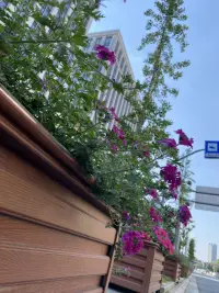 很喜欢的一段话
我现在不跟别人争吵了，我开始意识到每个人只能站在自己的认知角度上去思考。毕竟在乌鸦的世界里，天鹅也是有罪的。
认知不在一个高度上，没必要相互征服，成年人的世界只筛选，不教育，只选择，不改变。
每个人的一生，都在为自己的认知买单。自己不醒悟，他人如何渡？自己惹醒悟，何须他人渡？