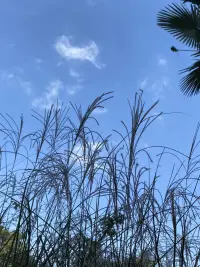 如何停止在意别人对自己的看法？
当我们很在意别人对自己的看法的时候，其实就等于我把我人生情绪的遥控器交给了你，我是否开心由你决定，那我的人生就很被动了。
那如何才能够拿回这个自己的情绪遥控器呢？
给大家分享一个心理学家阿德勒的理论叫“课题分离”。
阿德勒认为这个世界只有三件事：
1. 我的事
2. 你的事
3. 老天的事
我的事是指我可以做主的事，我的心情好不好，我做不做某件事情，是我的事。
你的事是指你对我的评价，那是你的事，嘴巴长在你的身上，所以你有你说话的自由，但是我有我自己的选择，我可以选择听，也可以选择不听，比如你说我笨说我丑那是你的观点，你的审美，但是我自己认为够不够漂亮、有没有能力那是我的事。所以你的事不能干扰我的事。这就是课题分离。
老天的事，天下雨还是天晴，天打雷还是出太阳，这是老天的事，我们管不了，我们只能做好我的事。老天下雨打雷，那么我找个地方躲躲，非要出门怎么办呢？我打把伞呗或者穿上雨衣呗。
当我做好我的事就能应对老天的事，同事你总对我批评，总是对我指责，那是你的事，我可以离你远一点，或者不见你，不和你交朋友，我可以做出选择。
人生的痛苦来自我没有做好我的事，我去管老天的事，我非常在意你的事，就造成了人生的痛苦。
如何拿回自己的幸福、开心的主导权，只要你做好我的事，把你的事交回給你，把老天的事还给老天，我就能掌控我的人生，我的人生我说了算。