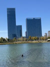 人生就是一段美妙的骑行之旅，上坡时加加油，使使劲，努努力，下坡时如丝般顺滑，遇红灯时歇一歇，绿灯亮起，继续出发。感受那个努力的自己，也享受丝般顺滑的过程。
今天天气很好，适合骑行。
