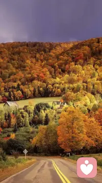 愛是什么
何謂愛，愛是什么？站在我的角度理解，愛是一種感受，體會，在生活各個層面，角落出現(xiàn)。

愛是一種很好的生活體驗，有了愛，人生挺充實，精彩，有意義。沒有愛也是一種生活，只是缺小了一些生活伏筆，所以，有人愛和被愛時要學(xué)會珍惜，活在當(dāng)下，沒有愛時，依然學(xué)會愛自己，讓自已成長。

有愛的人是會為對方牽掛，會做出挺多妥協(xié)，安排，為對方考慮挺多東西，甜密的負(fù)擔(dān)。雖然過程不容易，但是幸福的。幸福不一定處處顯露風(fēng)平浪靜或快樂，讓對方開心快樂，自己也滿足，自己感覺開心快樂，對方也很滿足。配圖