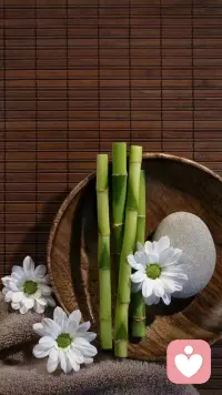 對(duì)親人的思念

家人的概念在哪里？我覺得我年輕的時(shí)候不懂，別人對(duì)的好和付出，我認(rèn)為是理所當(dāng)然和應(yīng)該的。當(dāng)奶奶離開后這兩年，我非常懷念她，這個(gè)時(shí)候我明白親人的可貴和重要。

這么快過了二年，很快又五年，十年，人生青春的歲月瞬間即過，留下只有過去，思念，有些遺憾。時(shí)間是追不回來，有些事發(fā)生了，沒有后悔可言。

我會(huì)好好過日子，努力過好日子，不要再擔(dān)心我。每一年到了她的生日，都會(huì)有感而發(fā)，眼淚忍不住，有幸相處四十幾年，真的很幸福，也要感恩。不知道還有沒有機(jī)會(huì)再次相遇，夢(mèng)中卻相遇無數(shù)次。配圖