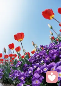 來到全新的人生，
才感謝過往痛苦磨難的經歷。配圖